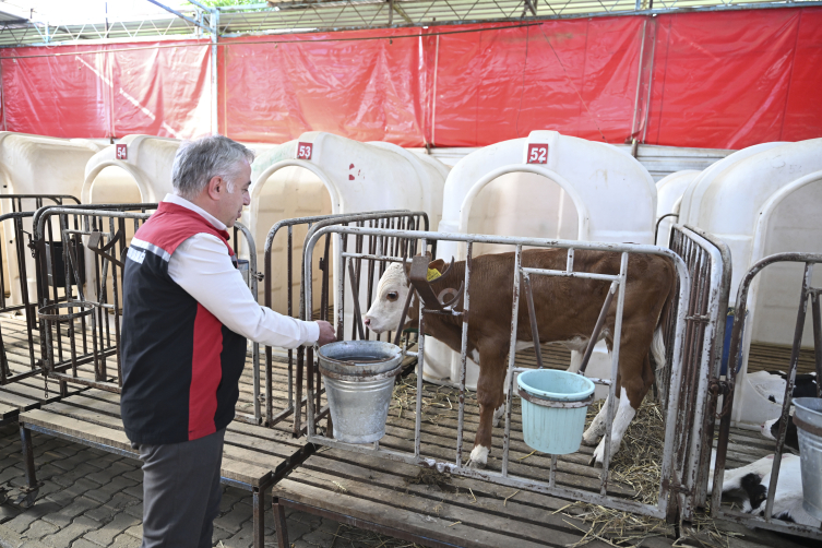 Aa Picture 20250705 38476729