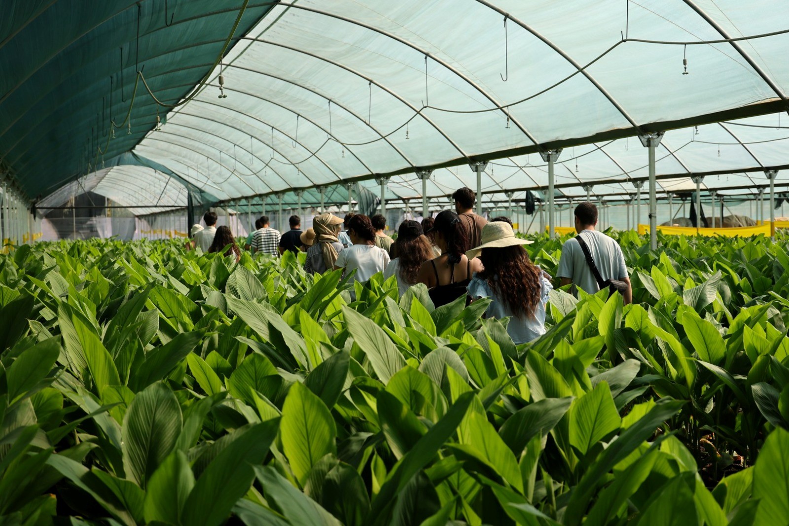 Bodrum Belediyesi Gençlik Ve Tarim Kampinin Birinci Dönemi Tamamlandi (5)