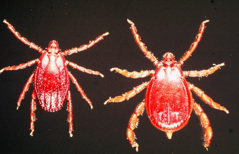 Ekran Goruntusu 2025 07 02 122646 Eaks