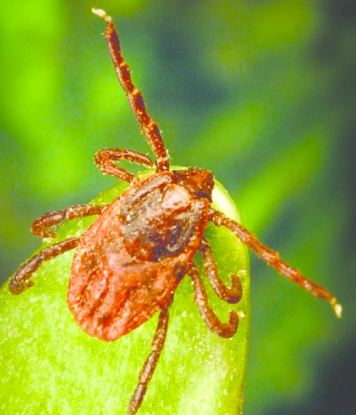 Ekran Goruntusu 2025 07 02 122705 Xfgh