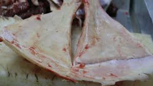 Indir 2025 07 21T205402.484