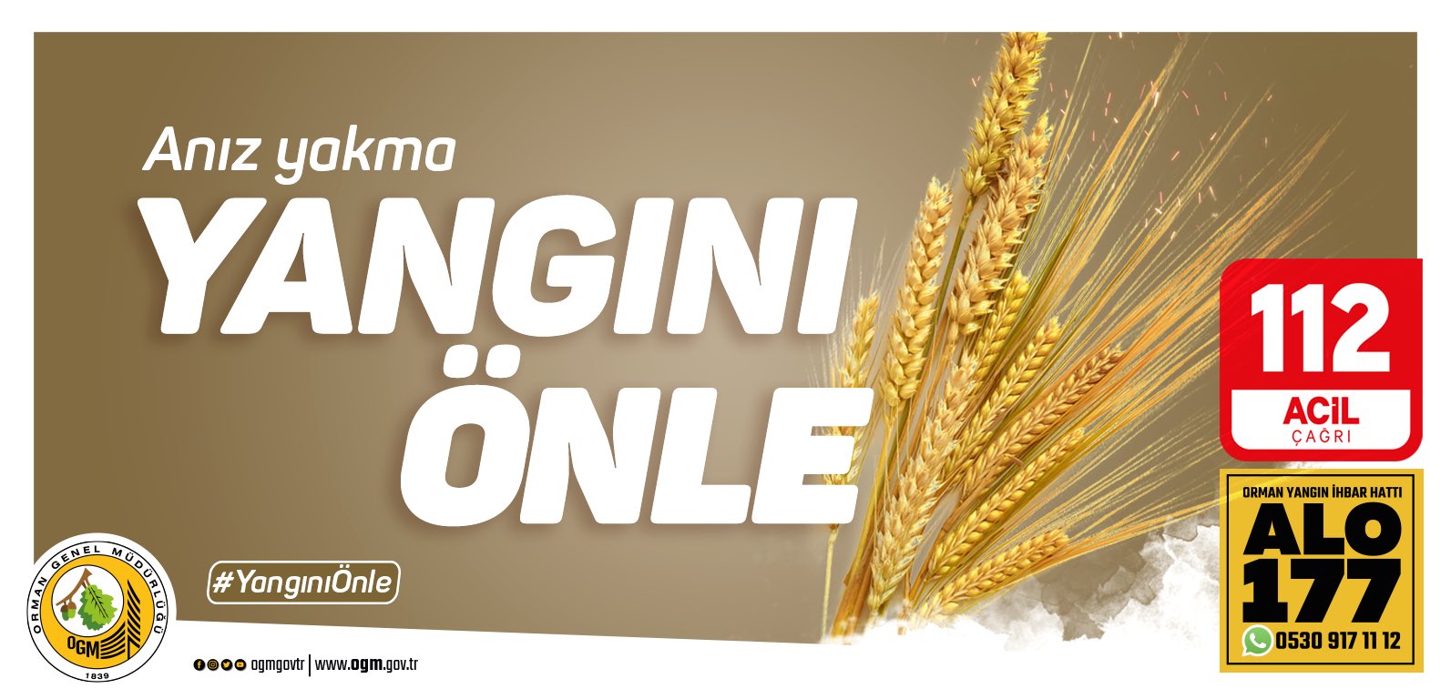 Whatsapp Image 2025 07 01 At 12.05.15 (1)