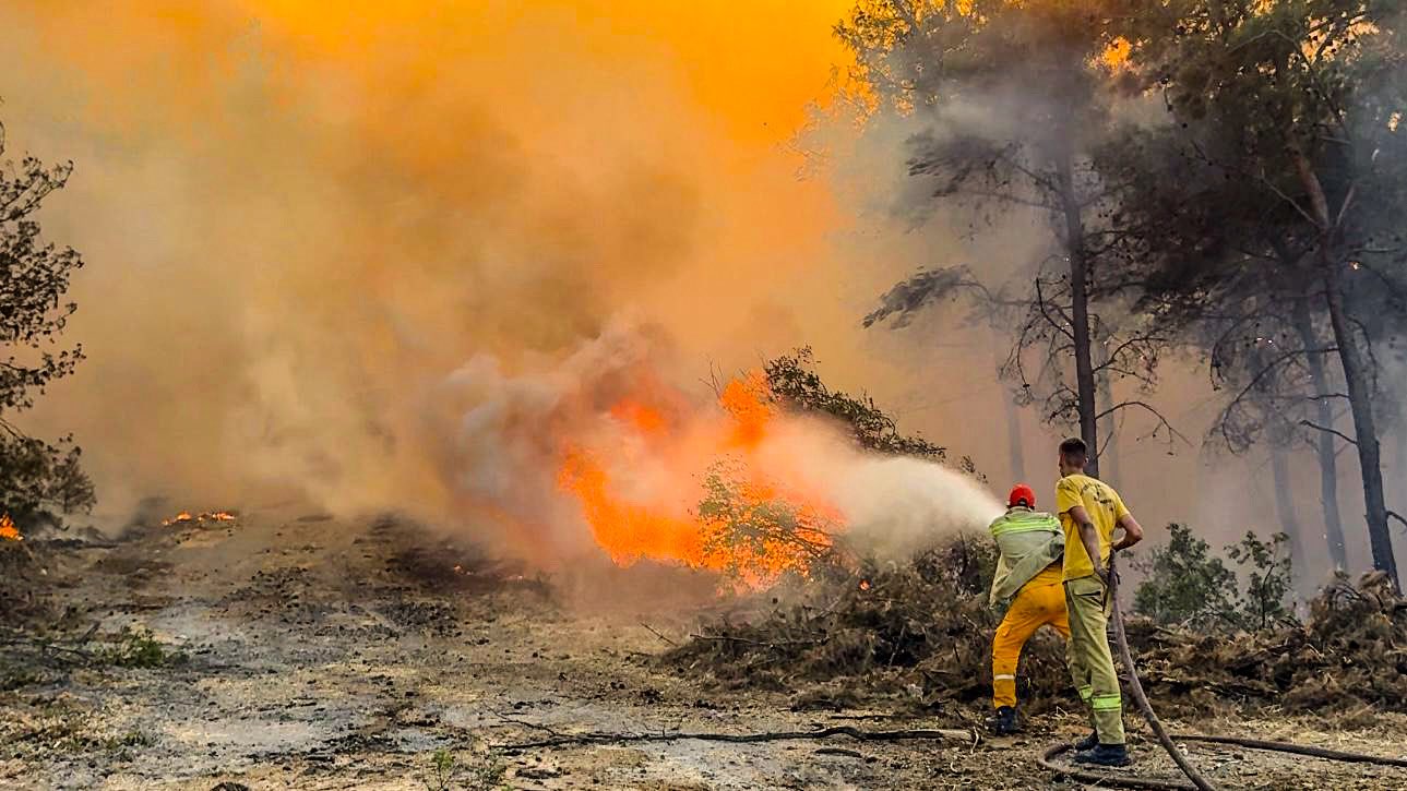 Whatsapp Image 2025 07 01 At 12.05.21