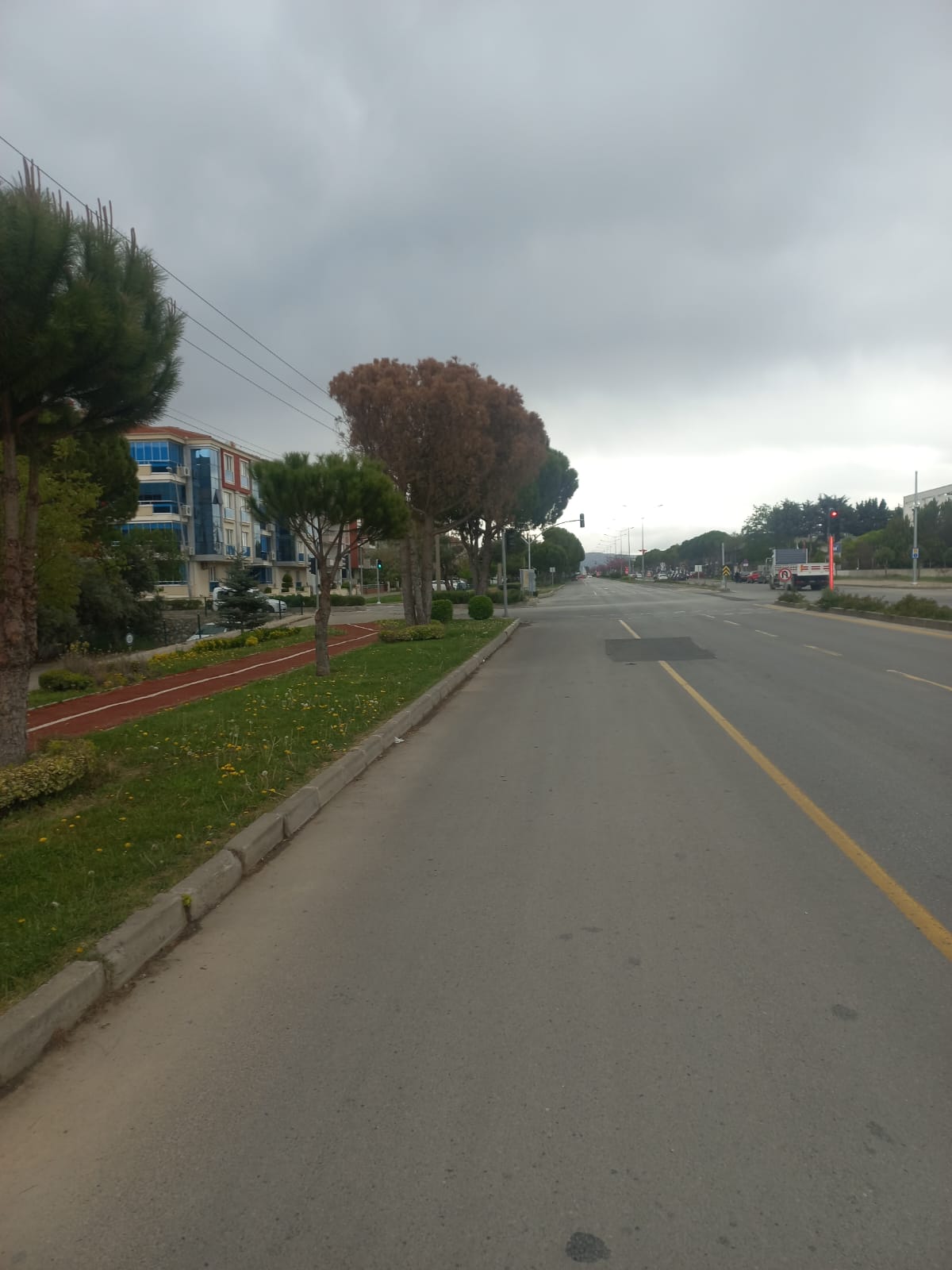 Whatsapp Image 2025 07 01 At 12.14.52