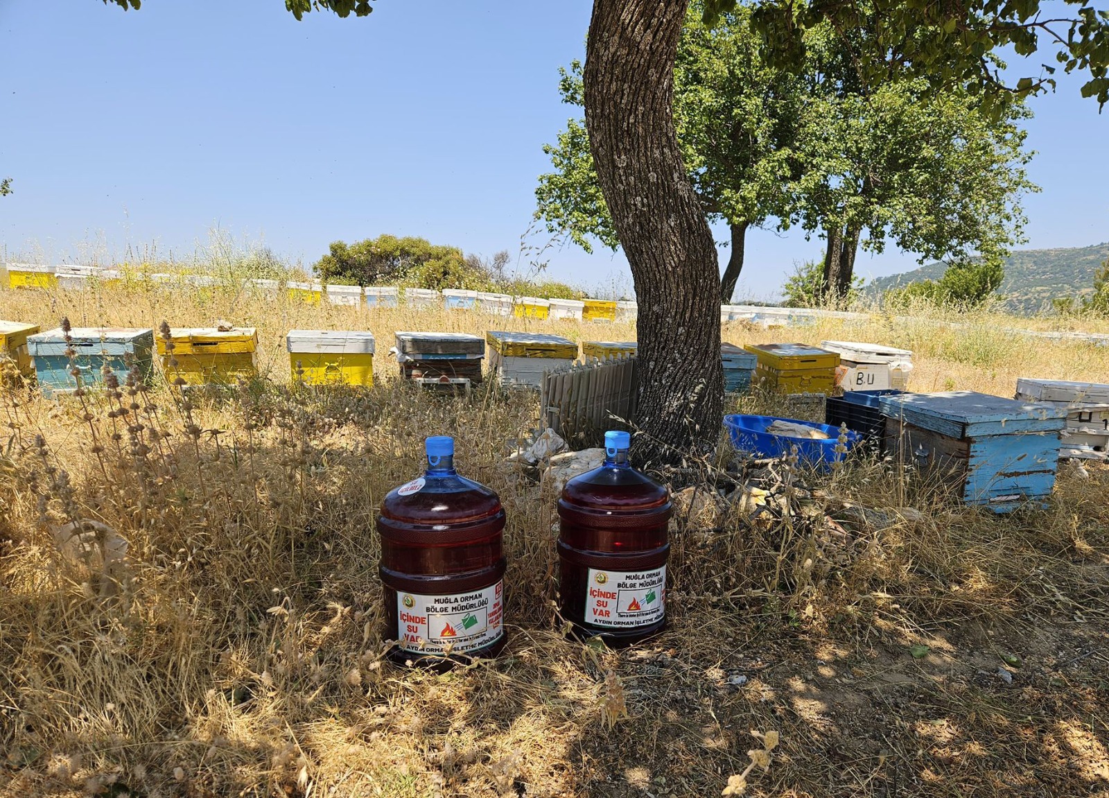 Whatsapp Image 2025 07 01 At 15.35.29 (1)