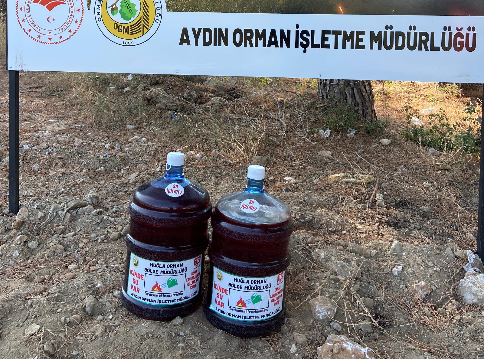 Whatsapp Image 2025 07 01 At 15.35.29