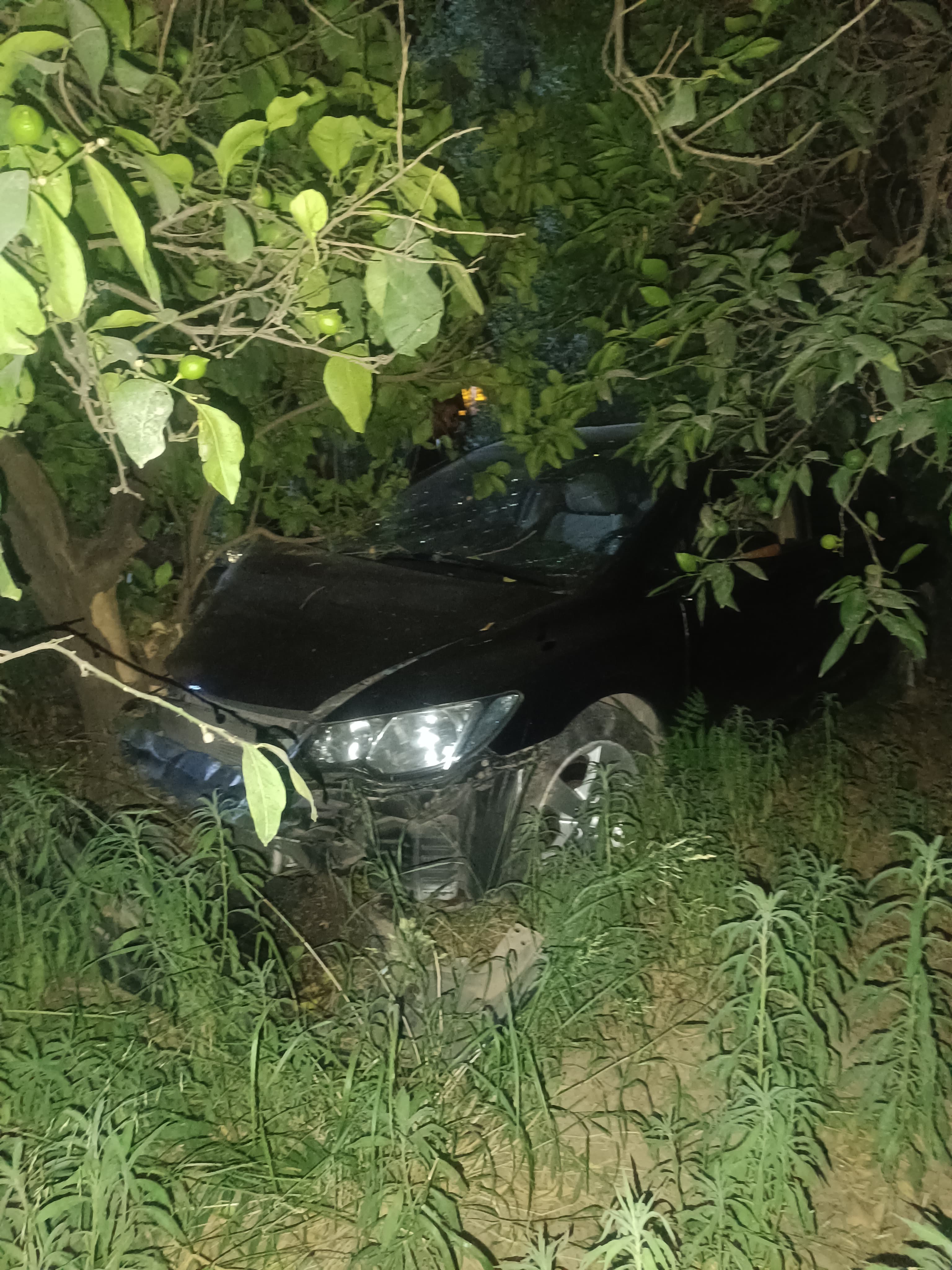 Whatsapp Image 2025 07 01 At 23.14.51