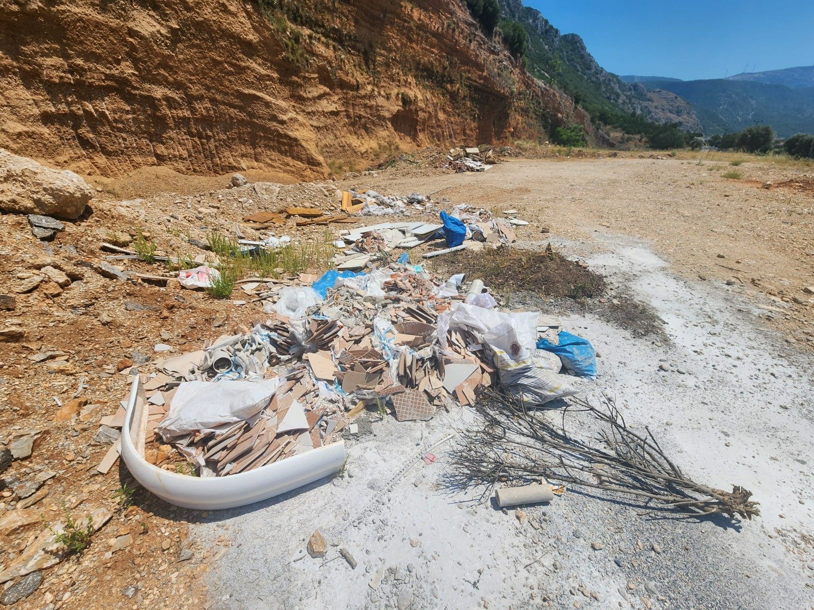 Whatsapp Image 2025 07 03 At 11.44.02