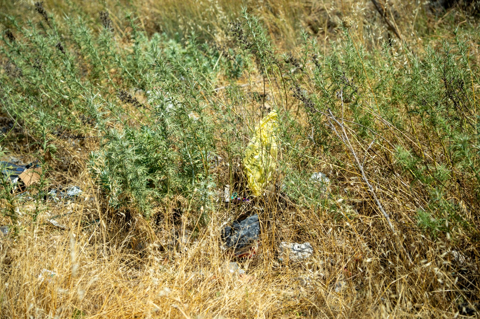 Whatsapp Image 2025 07 03 At 11.44.12