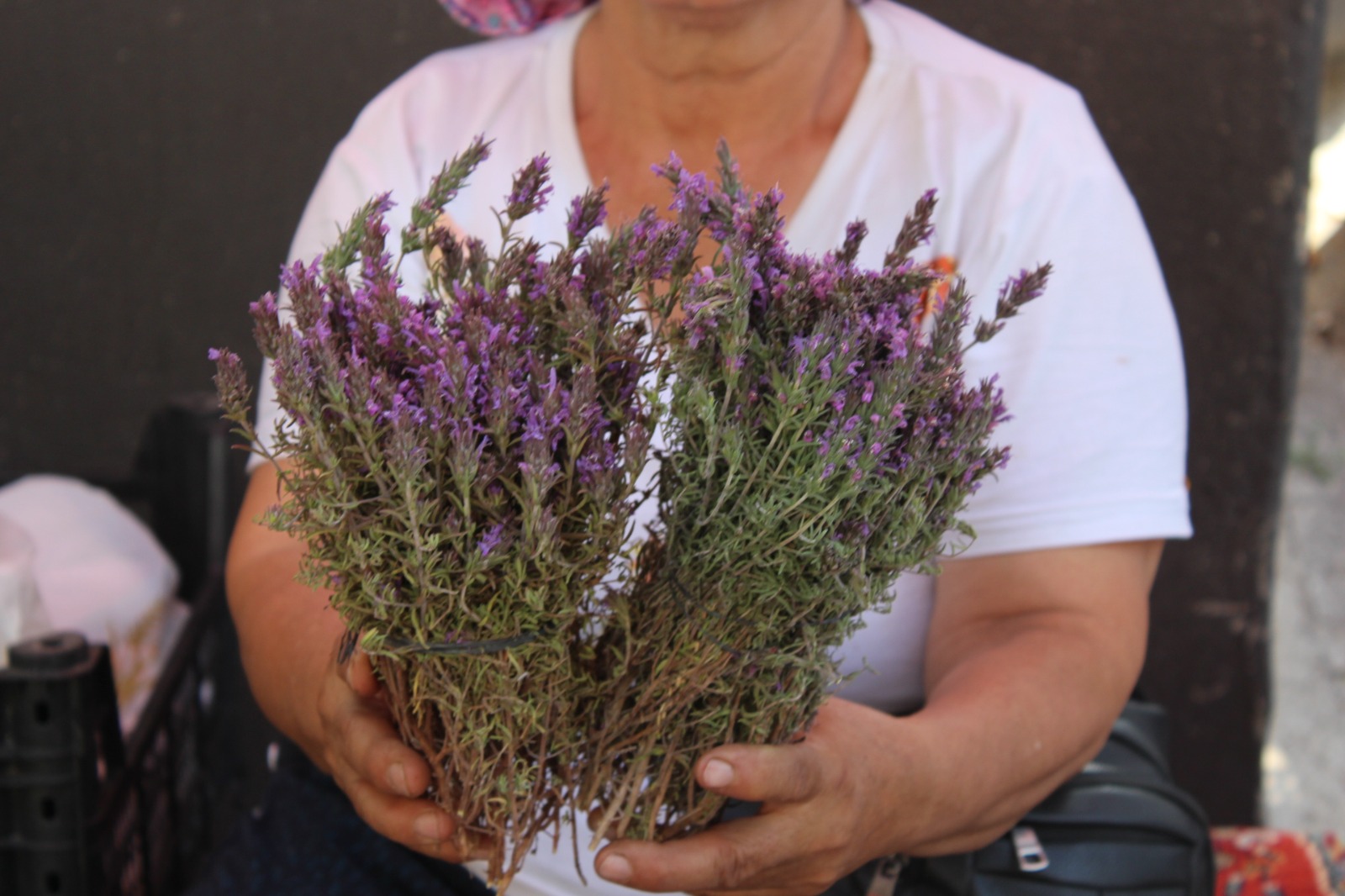 Whatsapp Image 2025 07 03 At 12.16.16 (2)