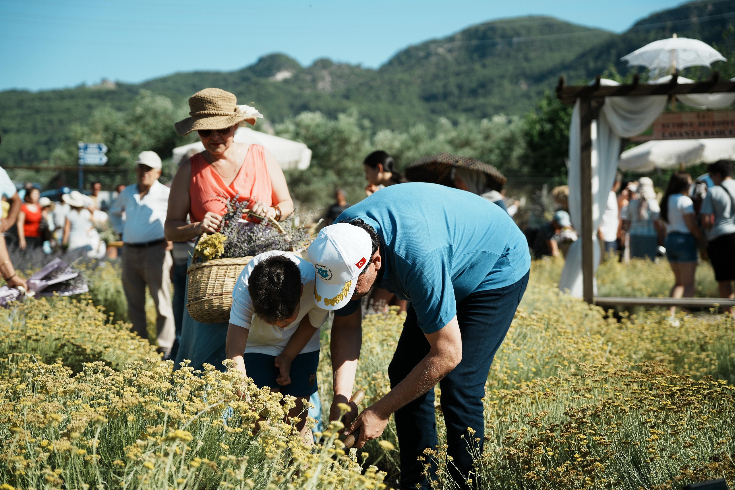 Whatsapp Image 2025 07 03 At 18.00.43