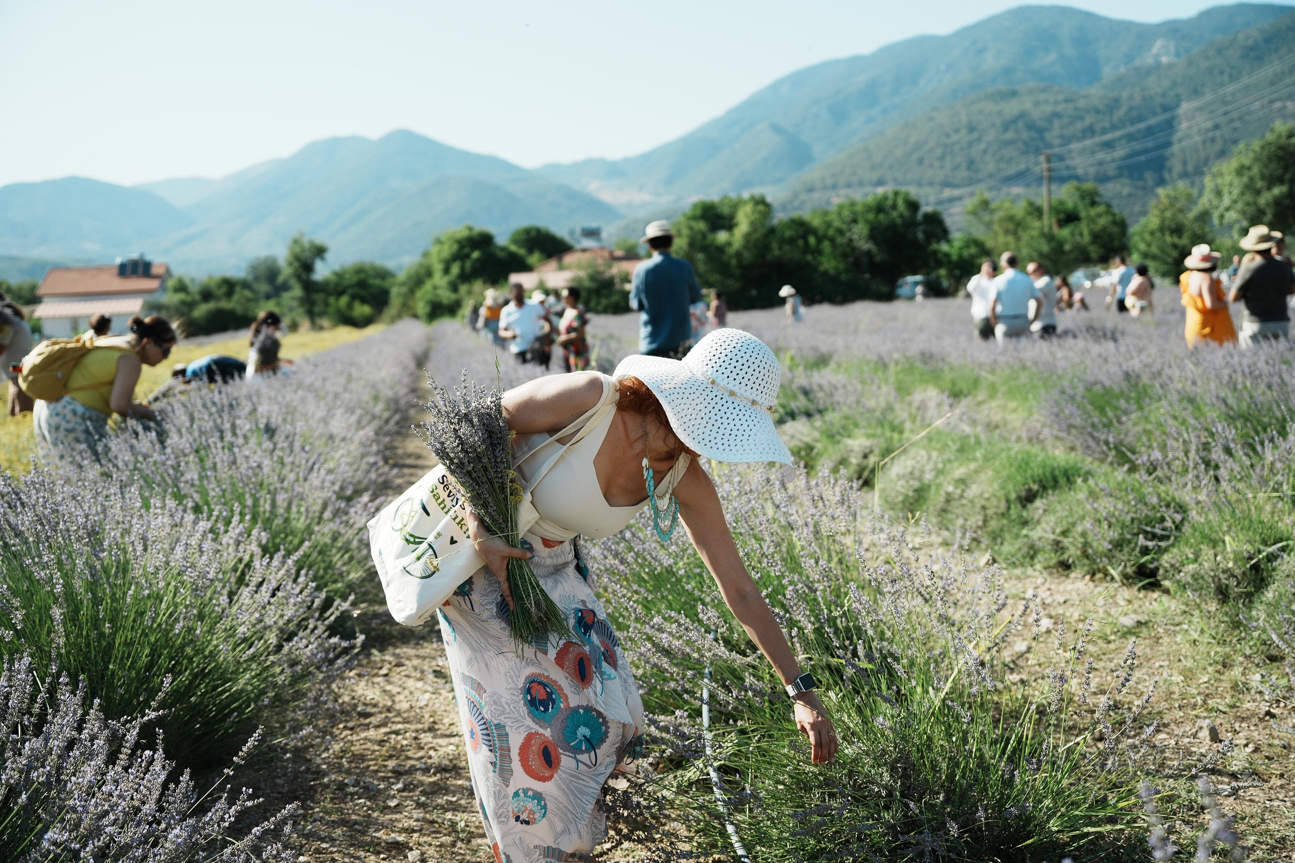 Whatsapp Image 2025 07 03 At 18.00.44