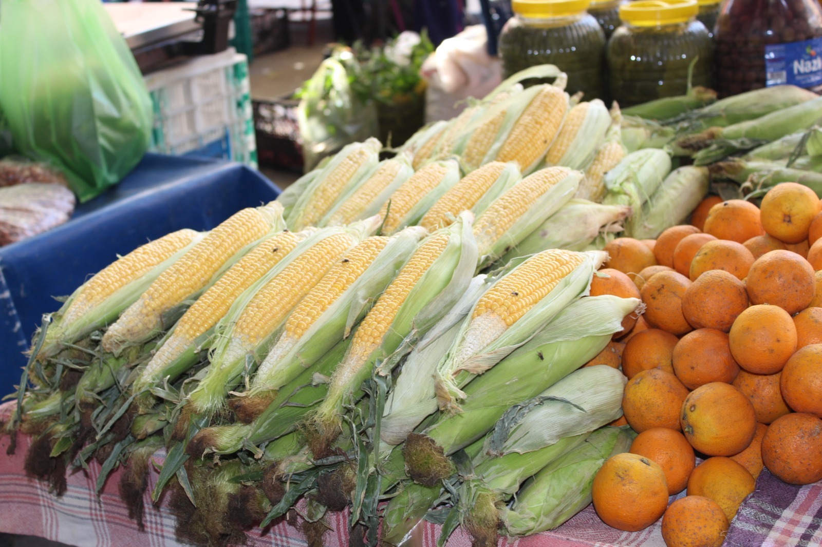 Whatsapp Image 2025 07 04 At 08.49.07 (2)