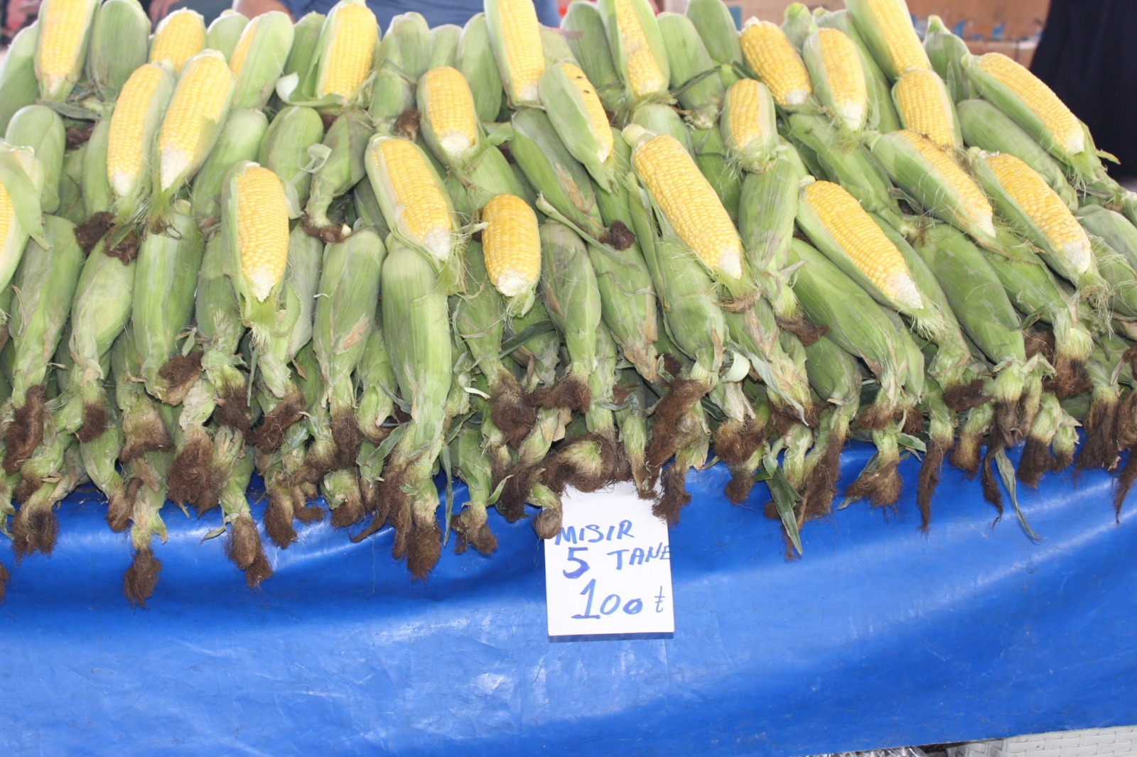 Whatsapp Image 2025 07 04 At 08.49.07