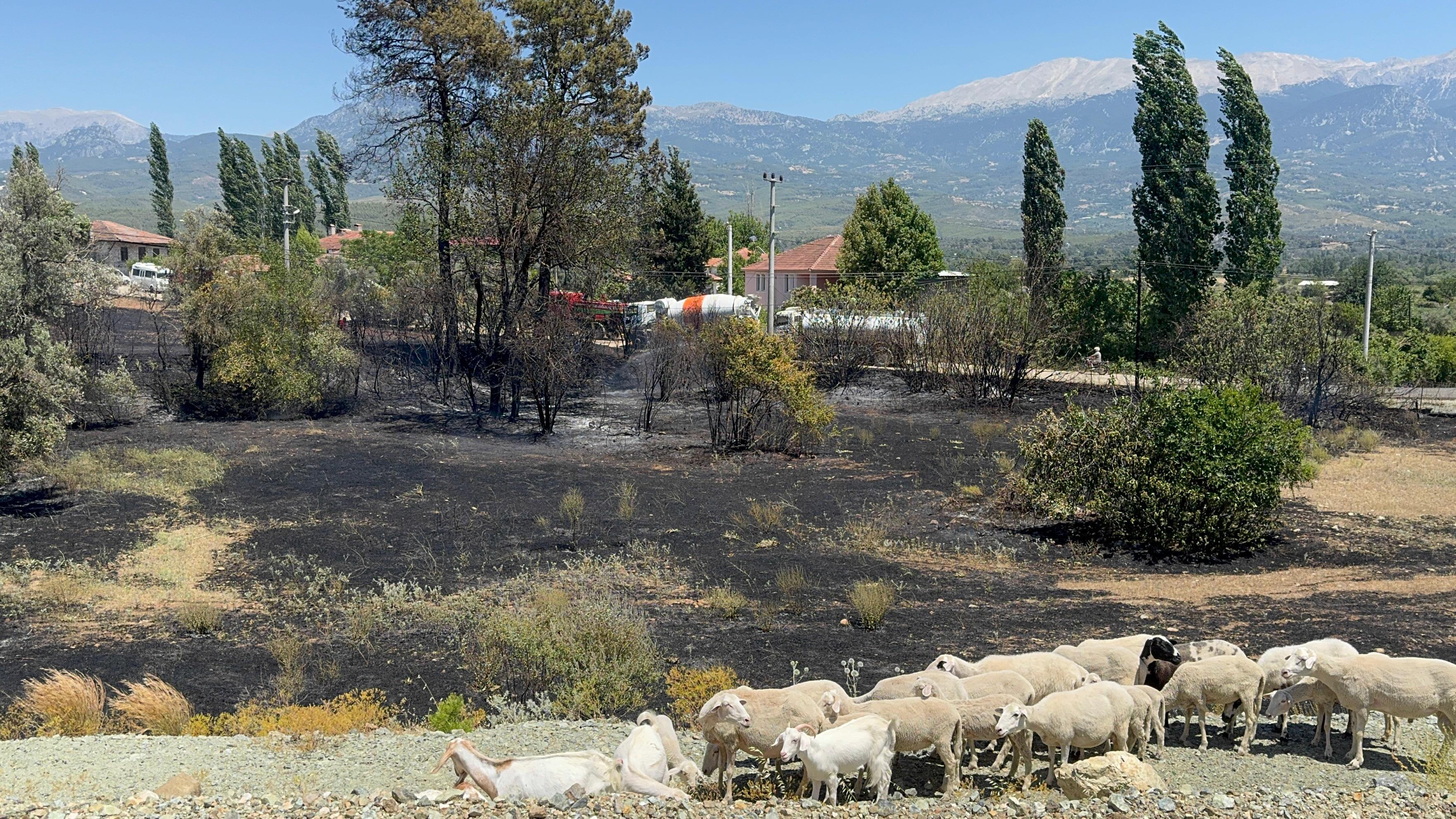 Whatsapp Image 2025 07 04 At 14.15.57