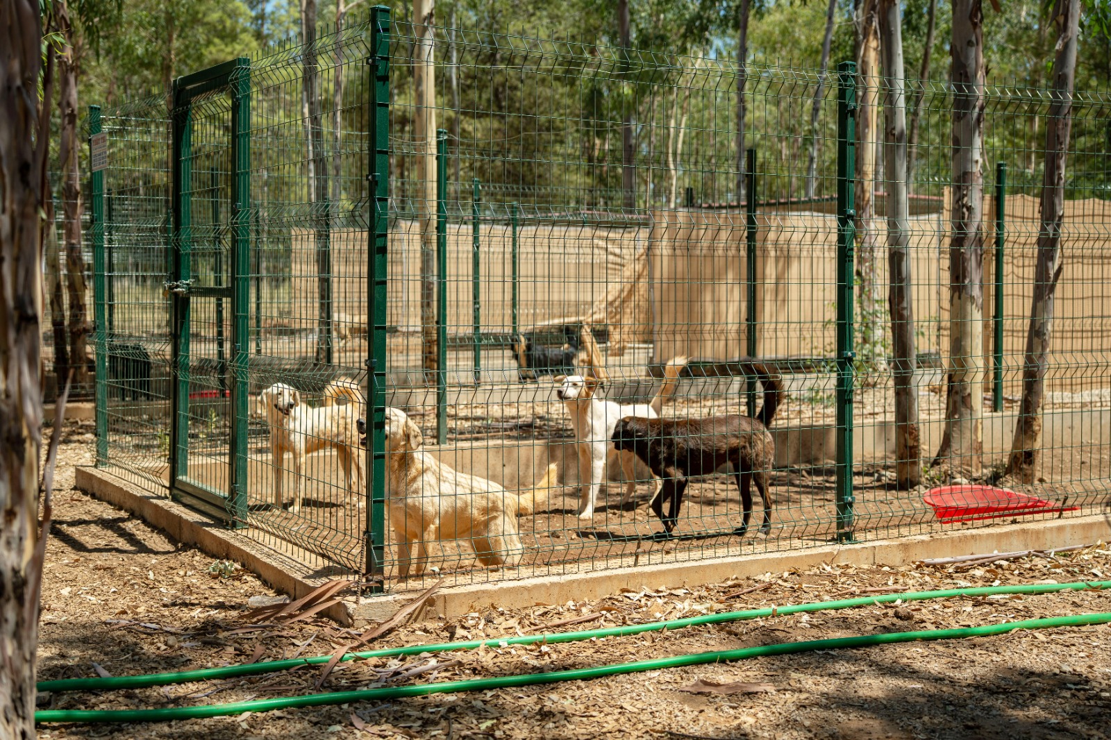 Whatsapp Image 2025 07 04 At 16.01.13 (2)