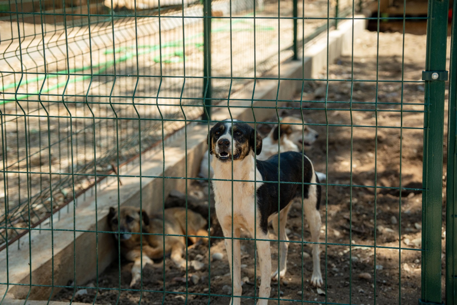 Whatsapp Image 2025 07 04 At 16.01.13 (3)