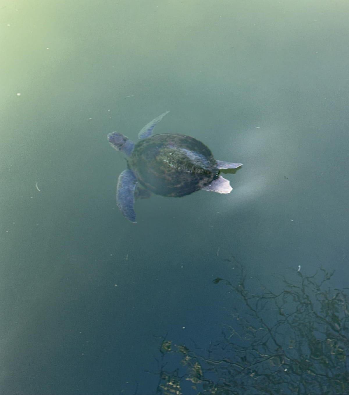 Whatsapp Image 2025 07 05 At 20.22.10 (1)