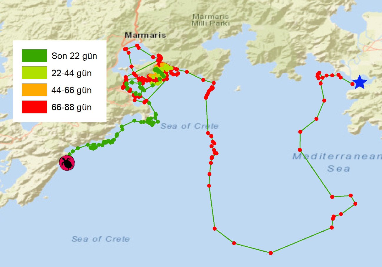 Whatsapp Image 2025 07 07 At 10.18.16