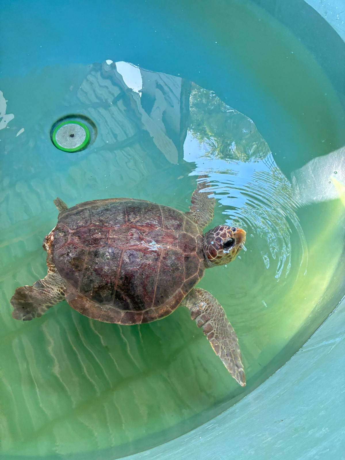 Whatsapp Image 2025 07 07 At 10.18.17