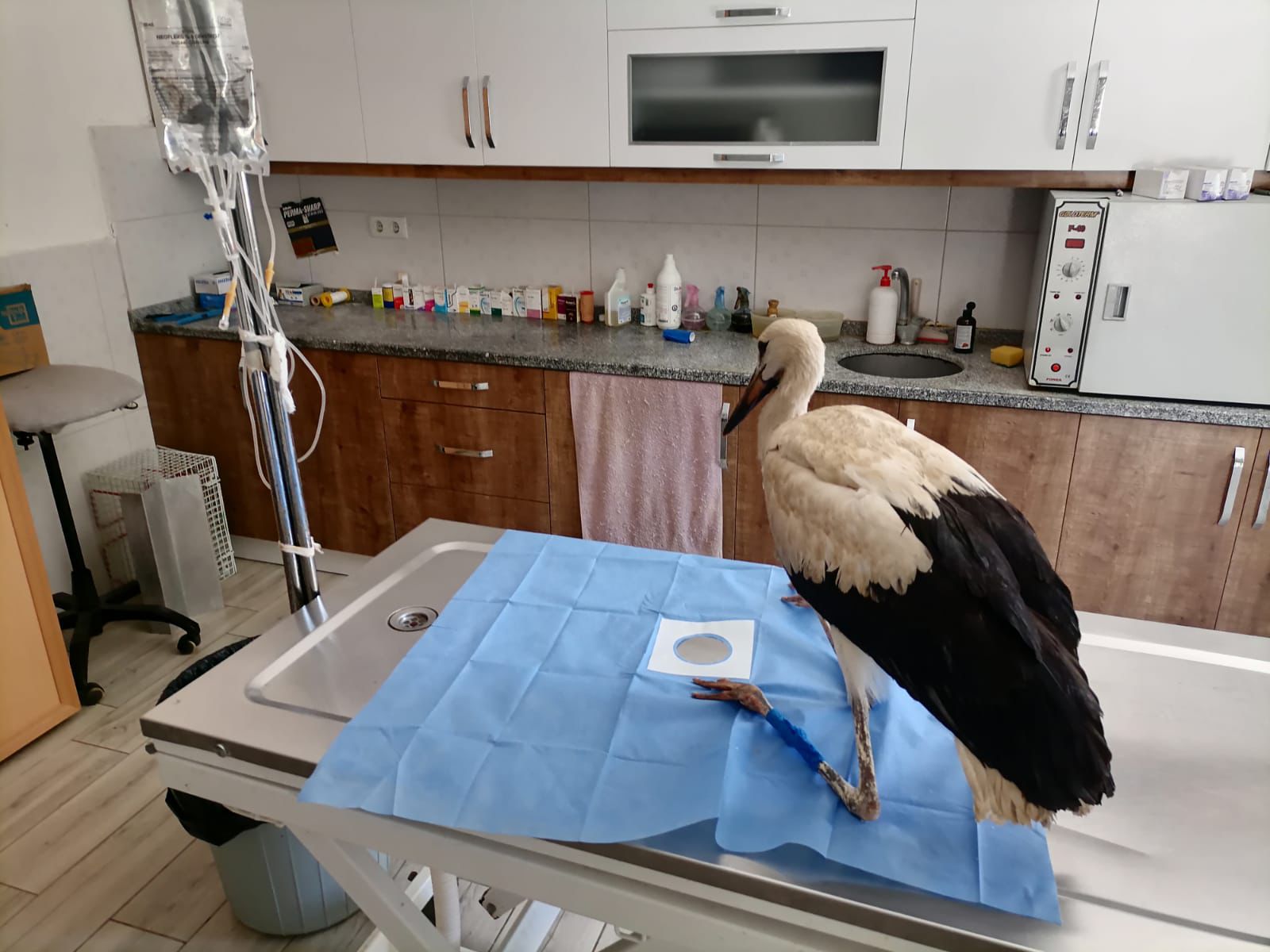 Whatsapp Image 2025 07 07 At 11.09.06 (1)