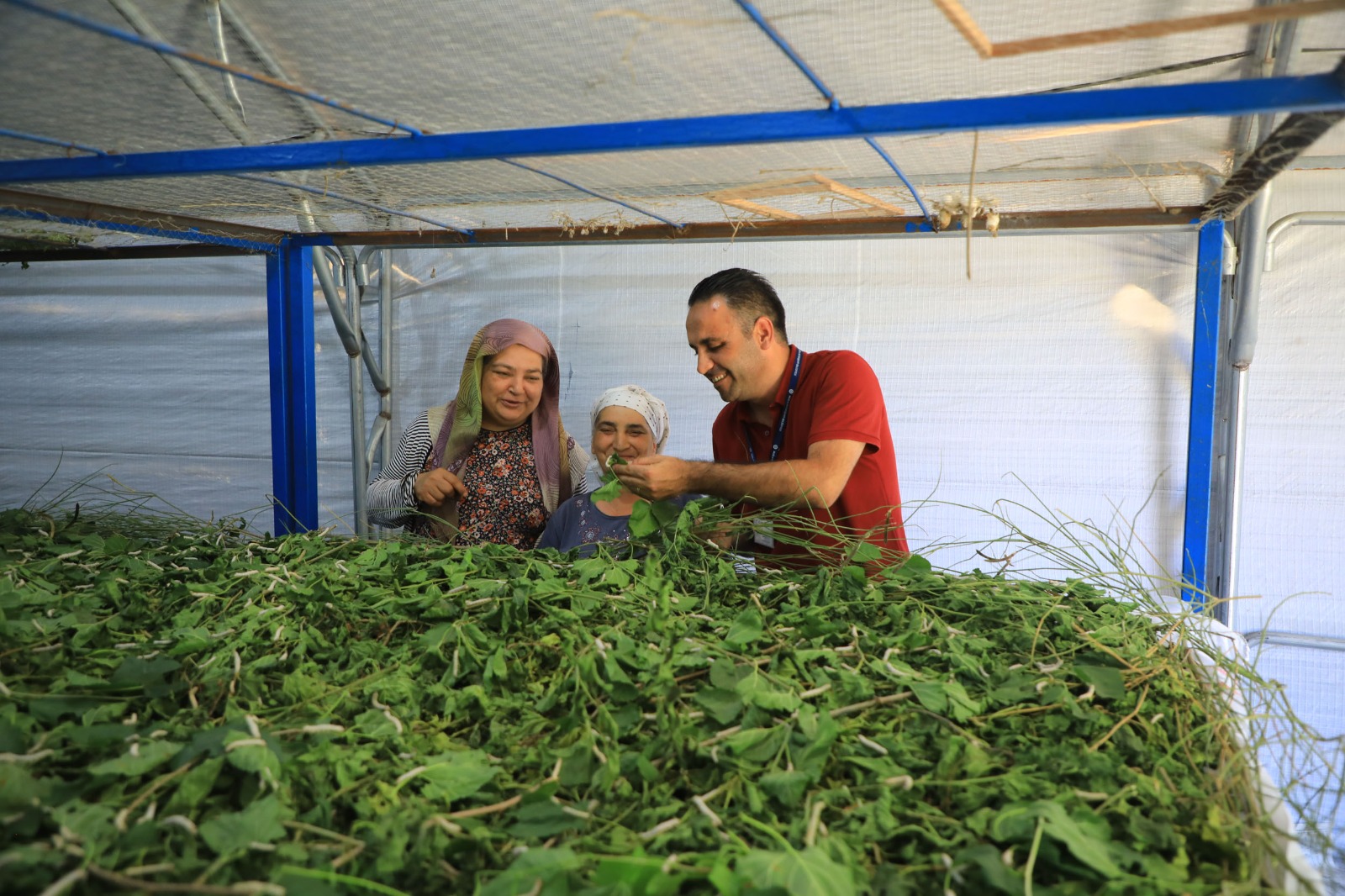 Whatsapp Image 2025 07 07 At 11.17.57