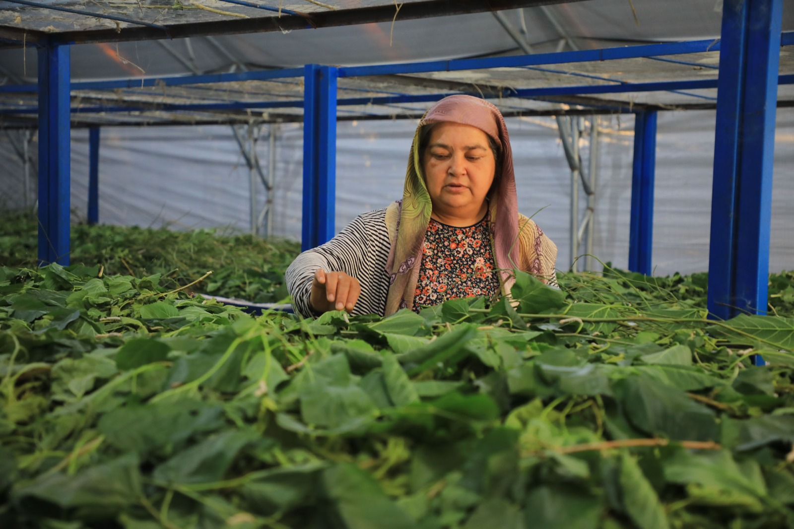 Whatsapp Image 2025 07 07 At 11.17.58 (1)