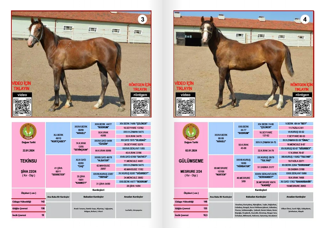 Whatsapp Image 2025 07 08 At 12.55.28 (1)