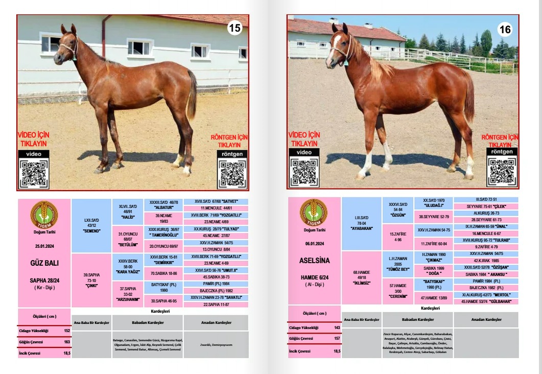 Whatsapp Image 2025 07 08 At 12.55.29 (1)