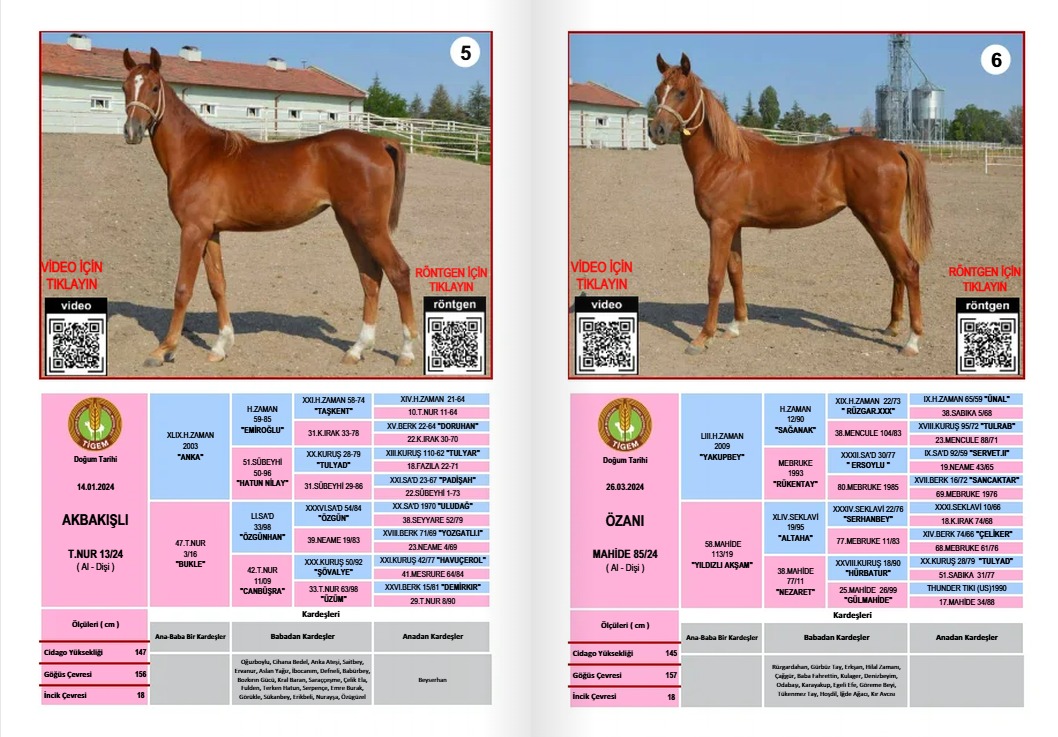 Whatsapp Image 2025 07 08 At 12.55.29