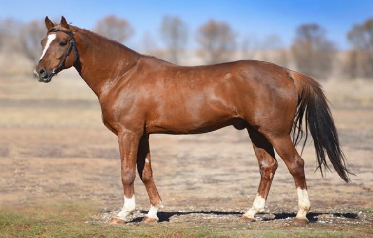 Whatsapp Image 2025 07 08 At 12.55.30 (2)