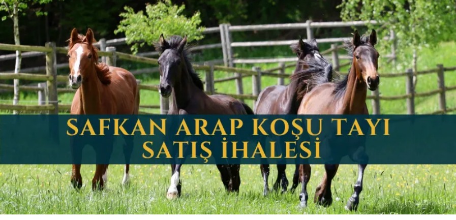 Whatsapp Image 2025 07 08 At 12.55.32