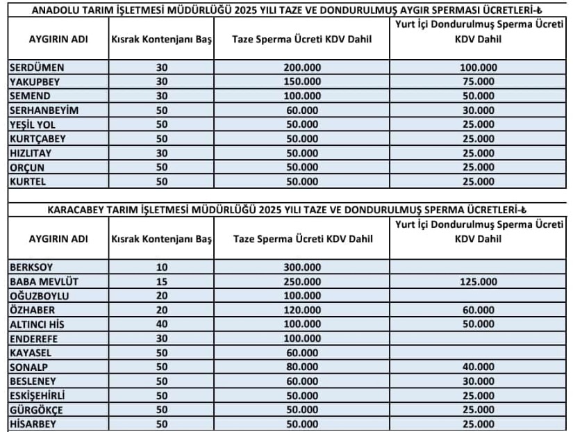 Whatsapp Image 2025 07 08 At 12.55.33