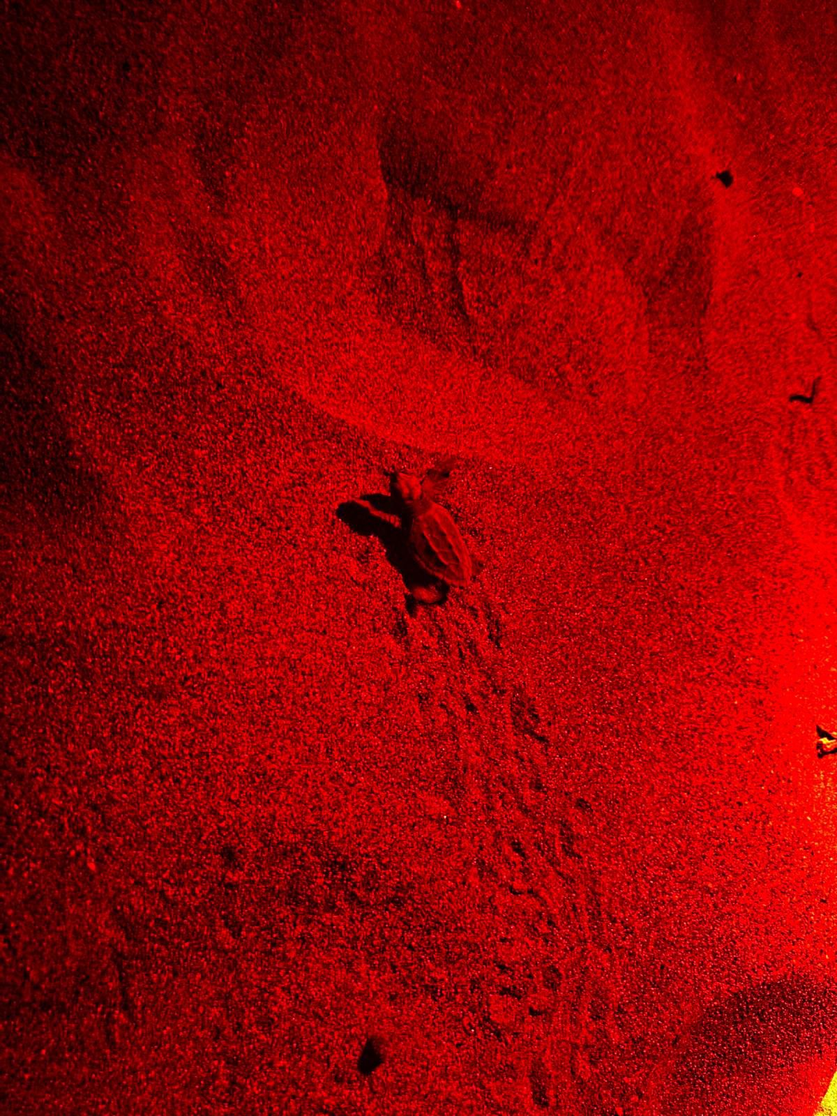 Whatsapp Image 2025 07 09 At 12.43.04