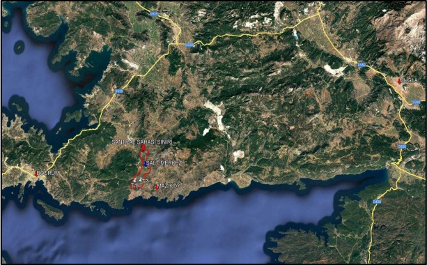 Whatsapp Image 2025 07 11 At 09.36.23