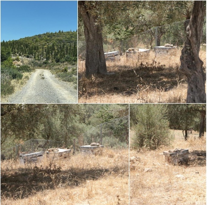 Whatsapp Image 2025 07 11 At 09.36.25 (1)