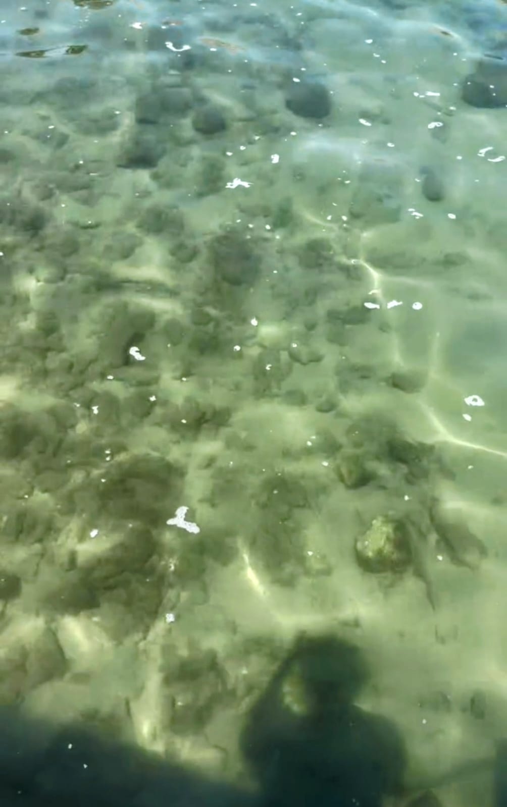 Whatsapp Image 2025 07 11 At 10.02.49