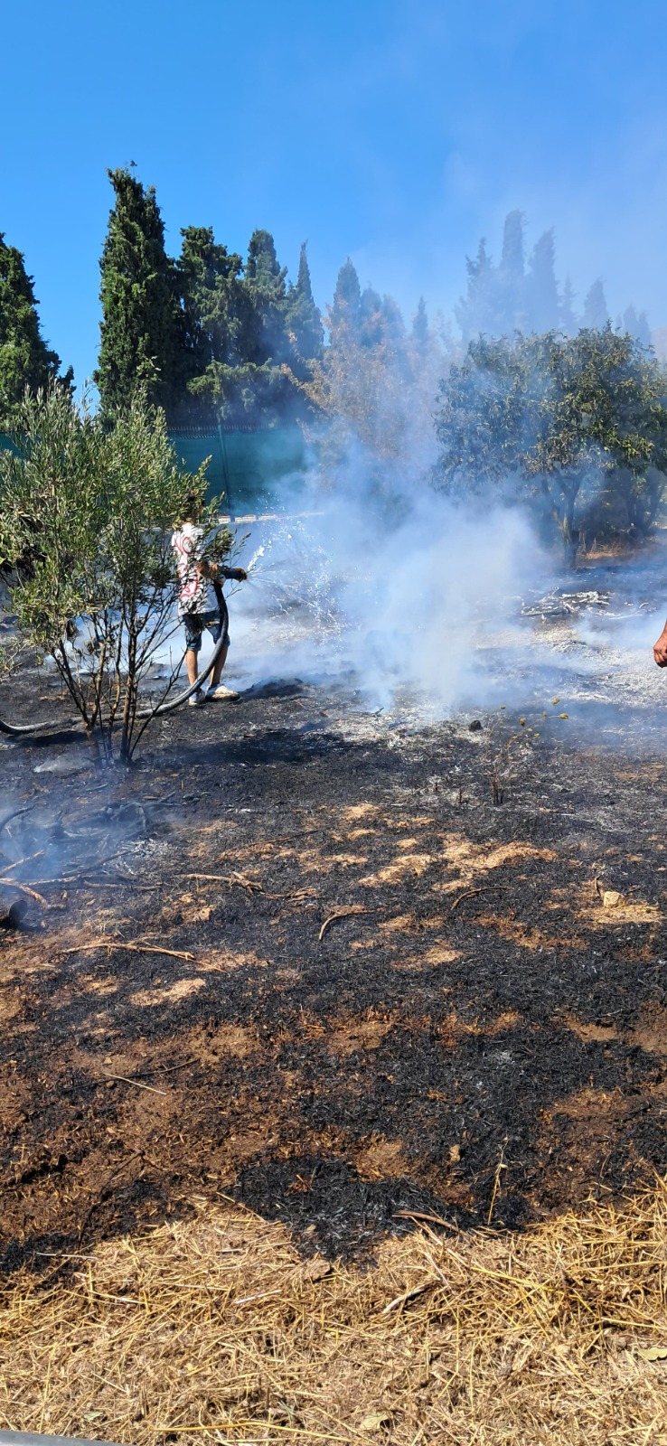 Whatsapp Image 2025 07 11 At 18.41.08