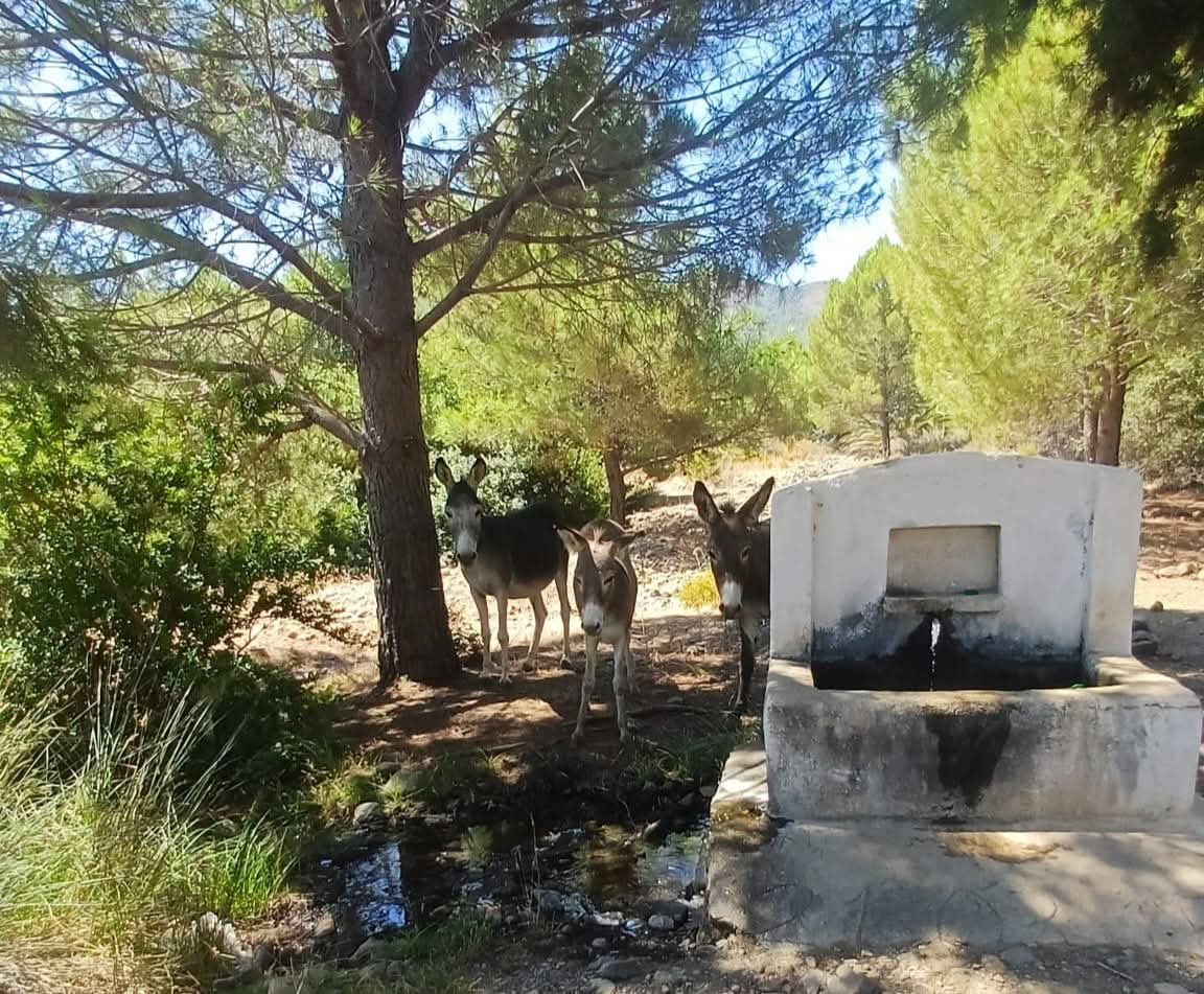 Whatsapp Image 2025 07 12 At 10.08.19