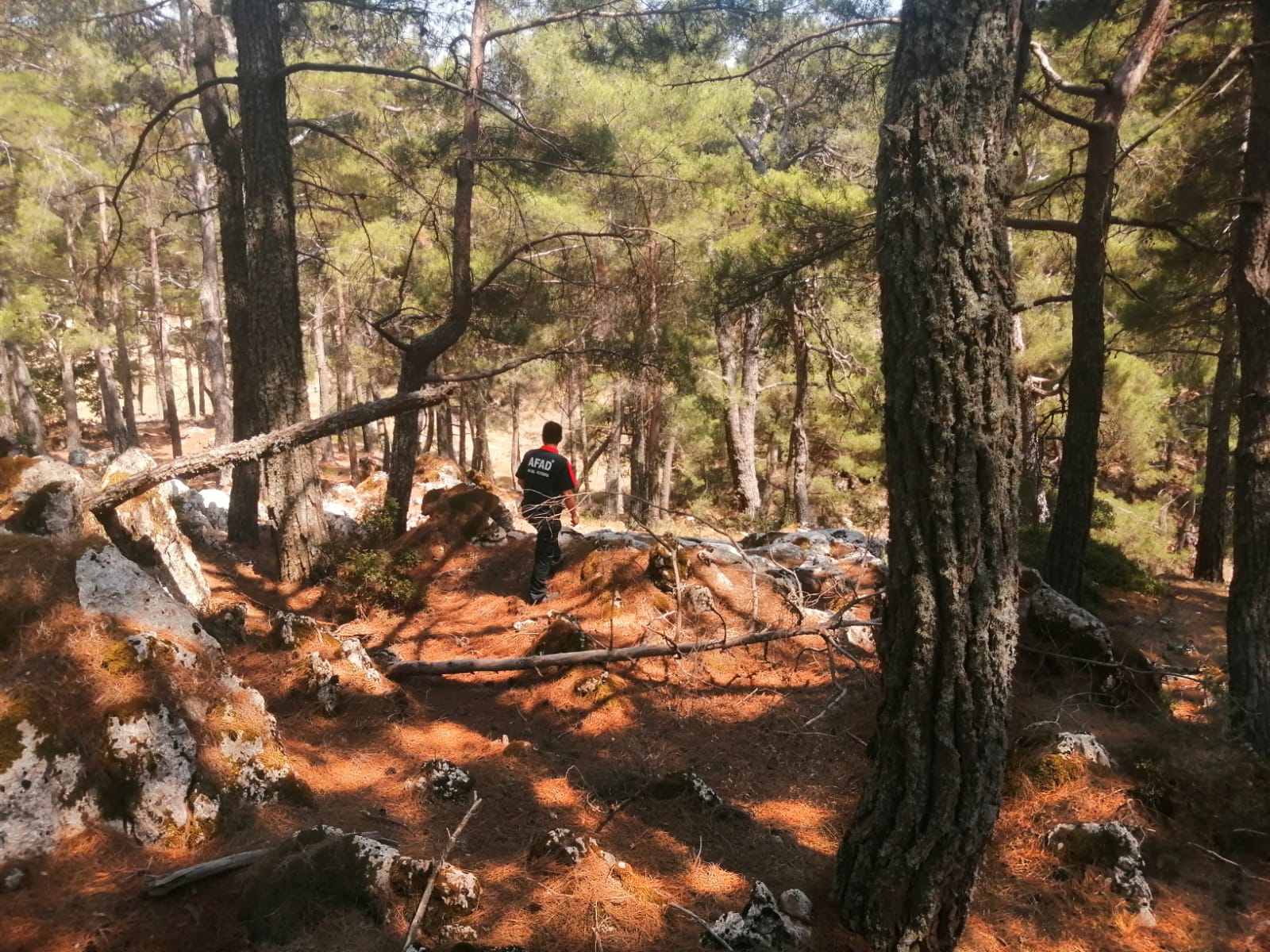 Whatsapp Image 2025 07 16 At 17.35.53