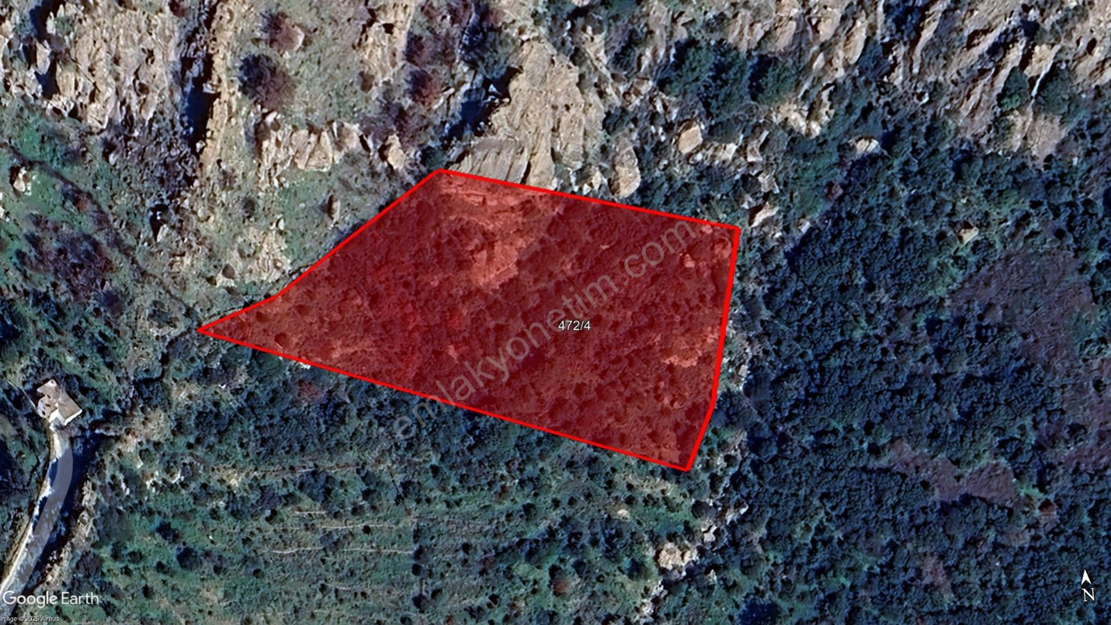 Whatsapp Image 2025 07 17 At 10.16.52 (1)