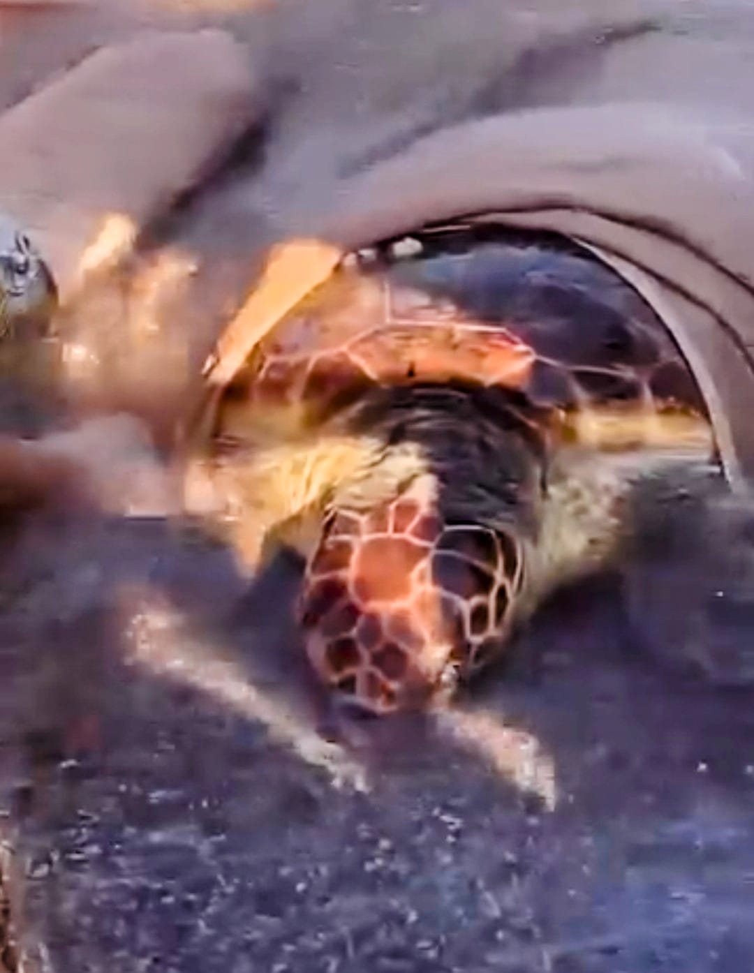 Whatsapp Image 2025 07 22 At 19.05.29 (1)