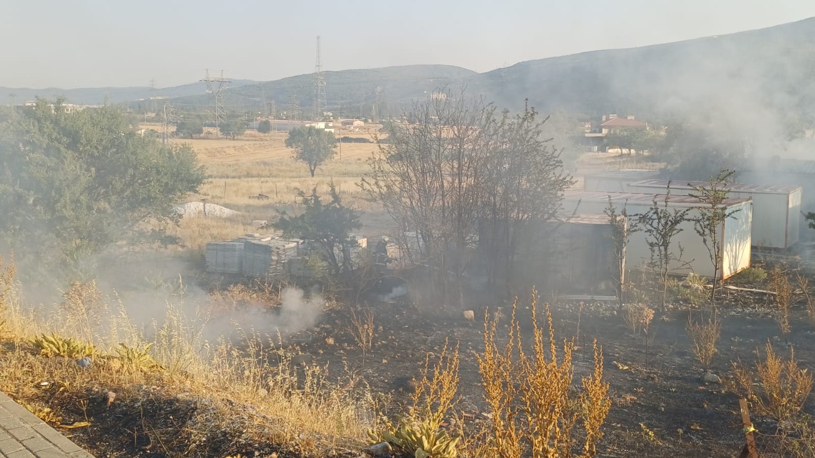 Whatsapp Image 2025 07 23 At 19.11.01