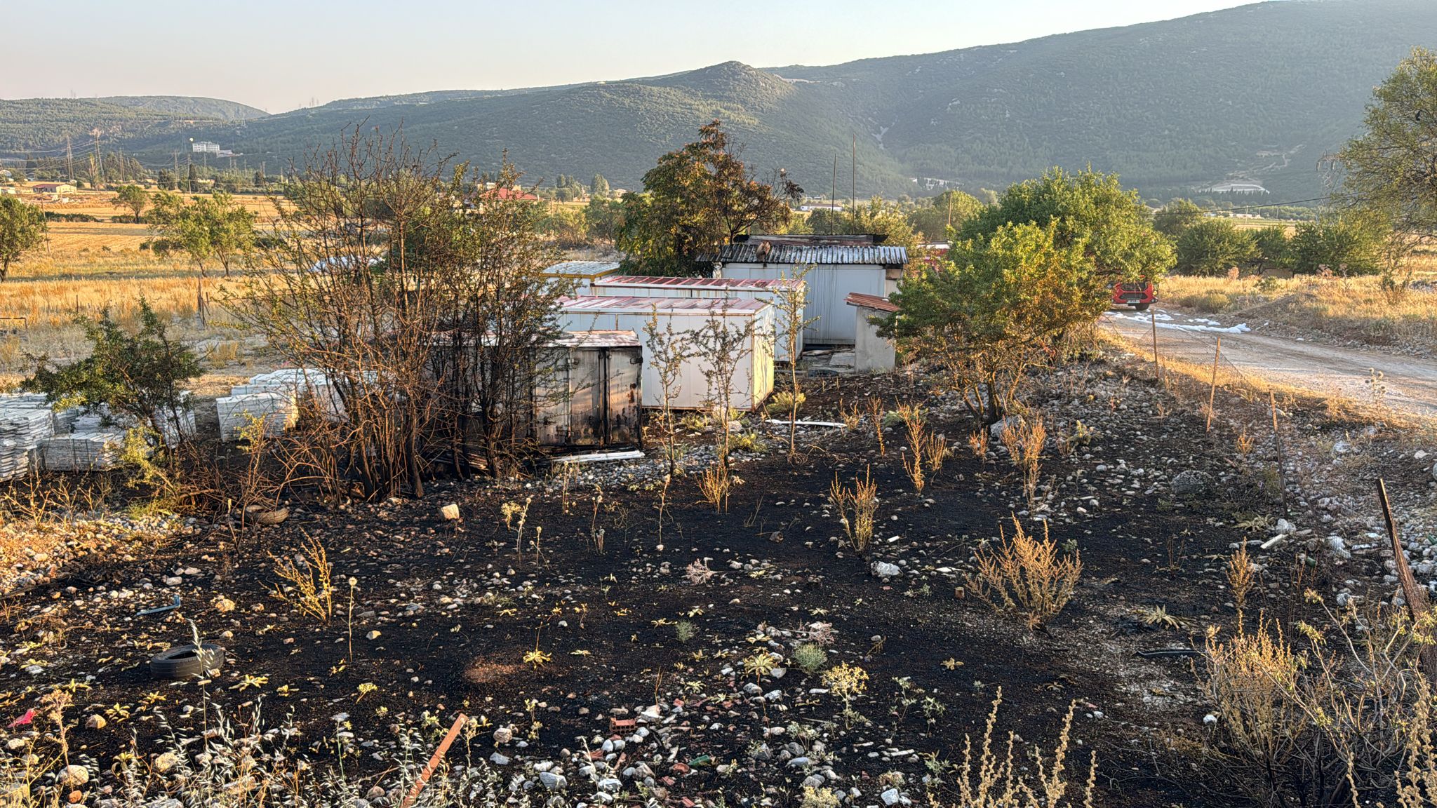 Whatsapp Image 2025 07 23 At 19.32.57