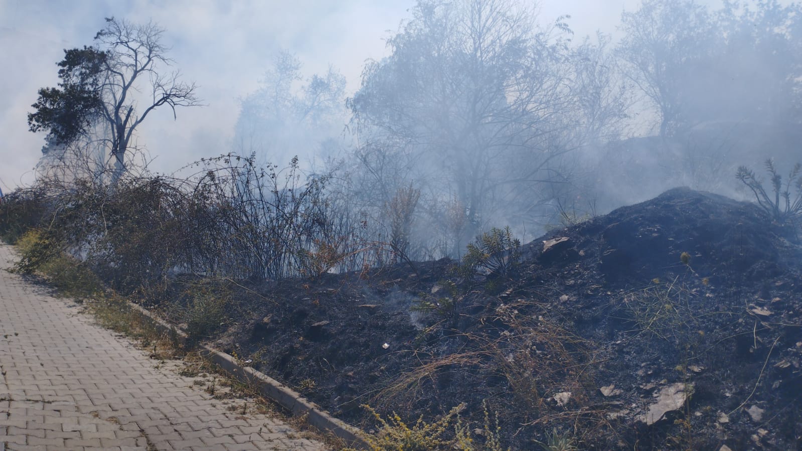 Whatsapp Image 2025 07 26 At 13.16.13