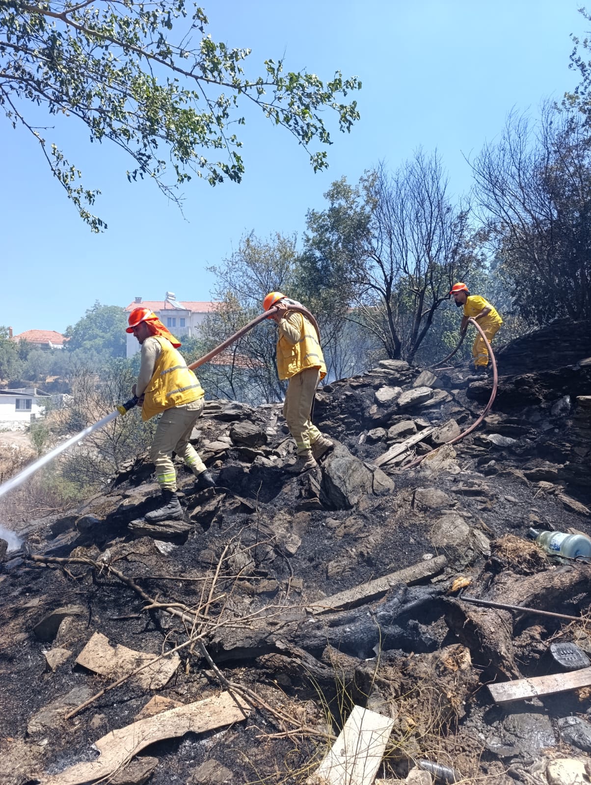 Whatsapp Image 2025 07 26 At 13.16.35