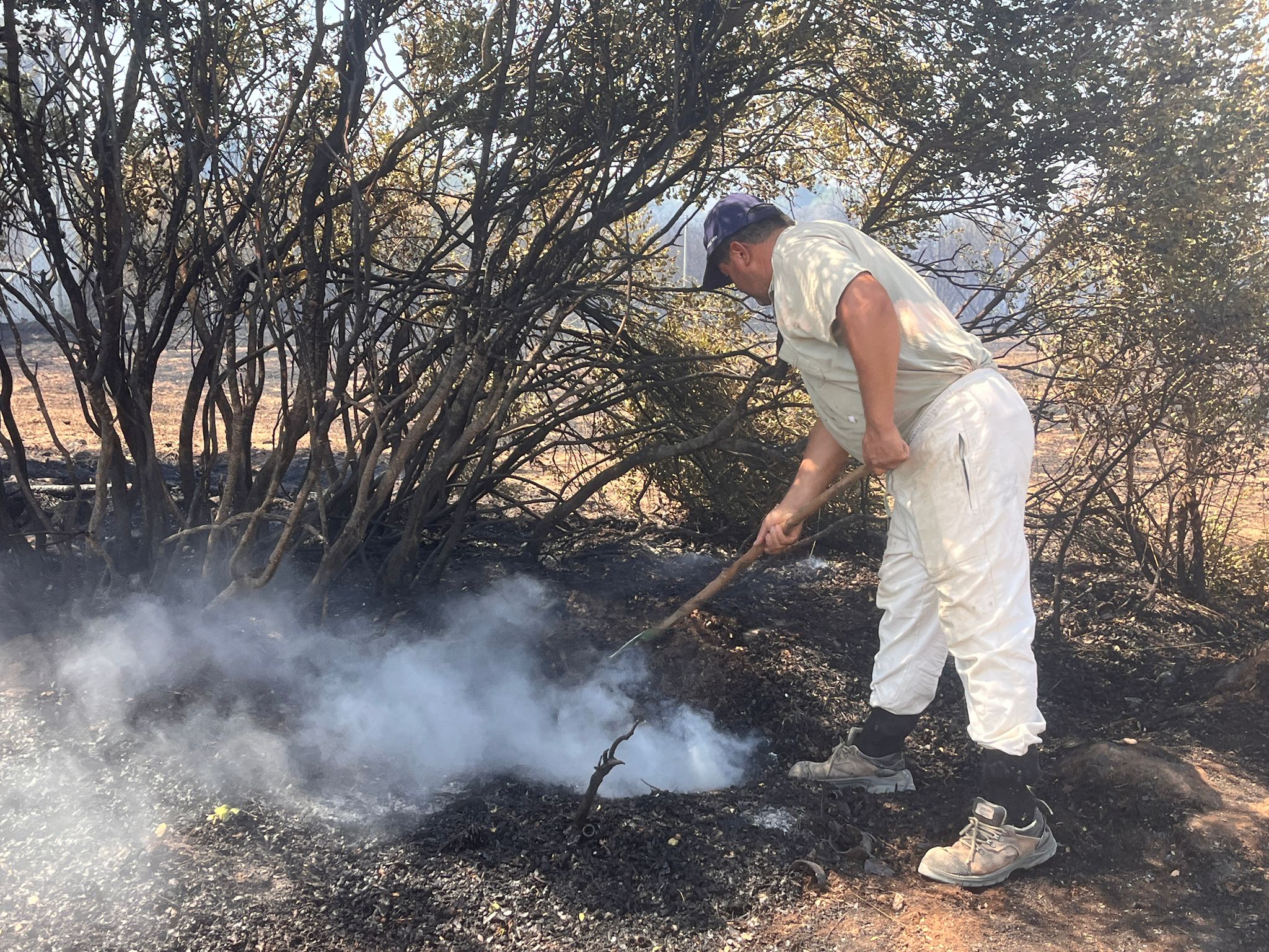 Whatsapp Image 2025 07 26 At 15.48.29 (1)