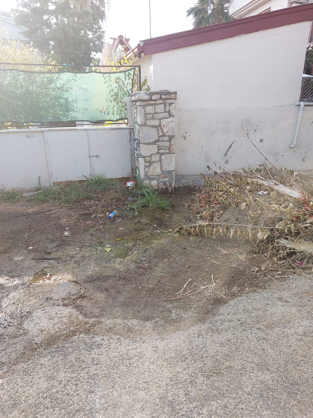 Whatsapp Image 2025 07 29 At 11.10.23 (1)-1