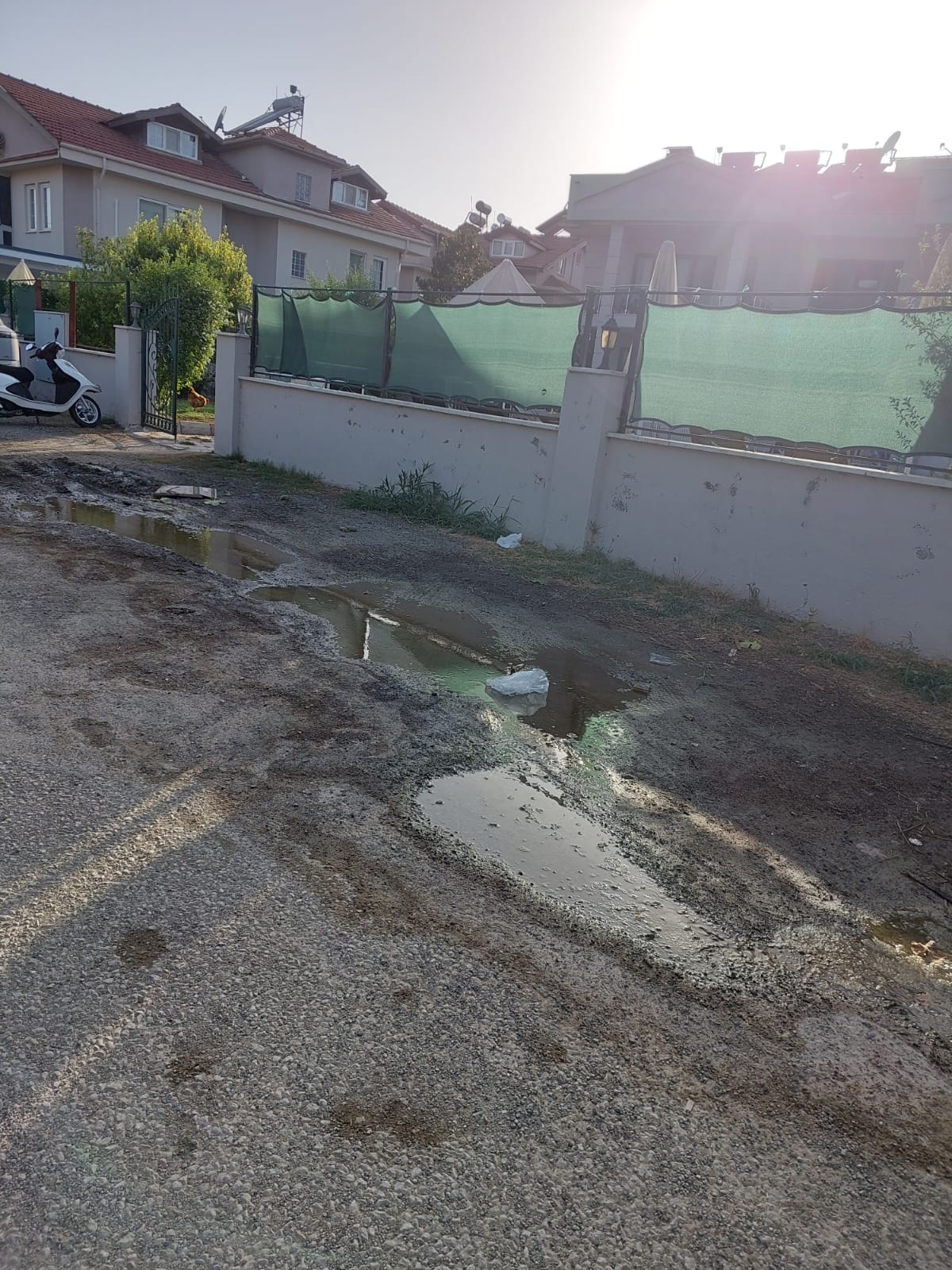 Whatsapp Image 2025 07 29 At 11.10.23