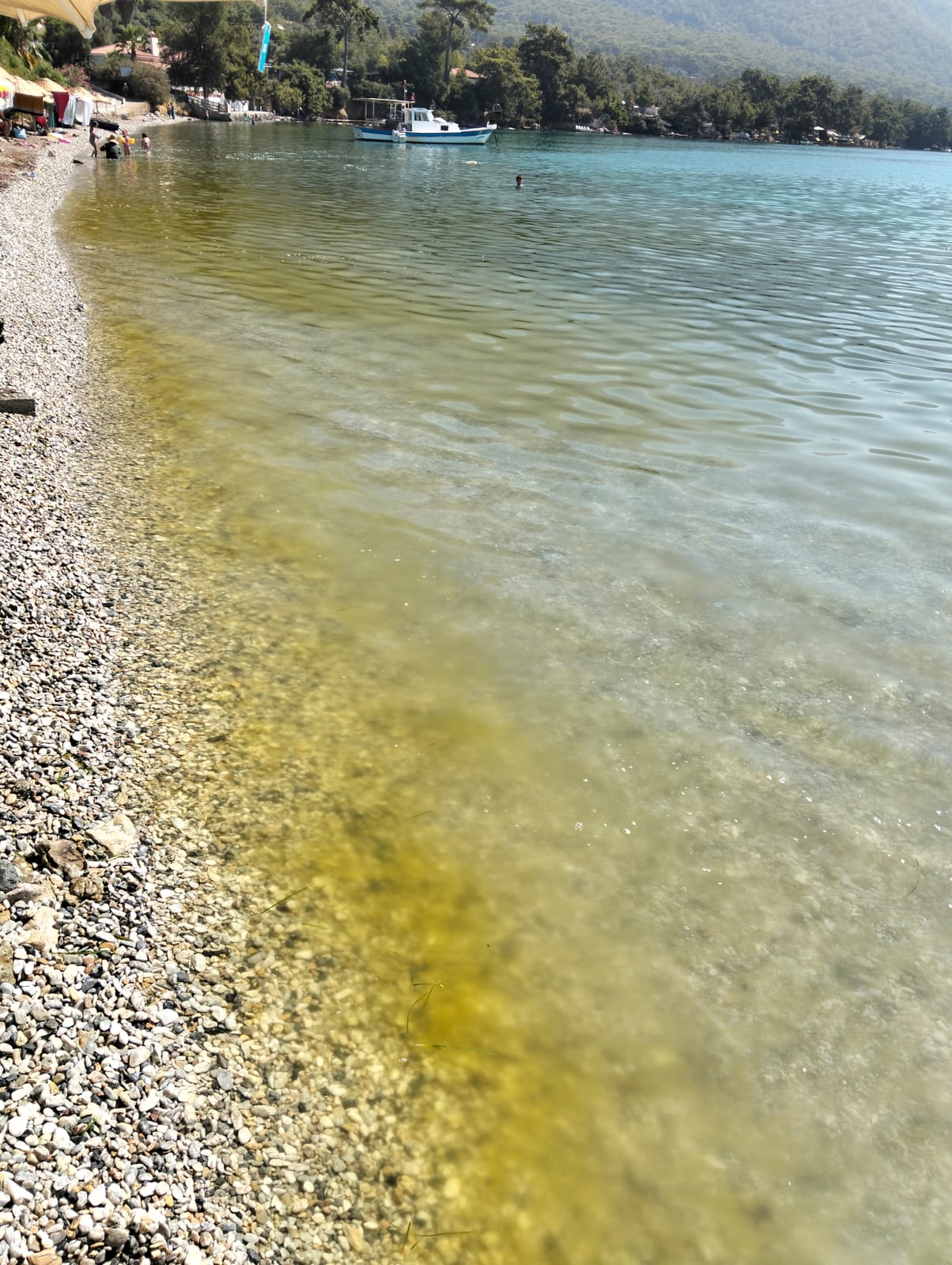 Whatsapp Image 2025 07 30 At 11.01.08